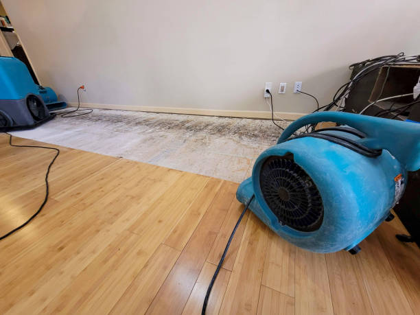 Professional Water Extraction technician working in Central Islip, NY